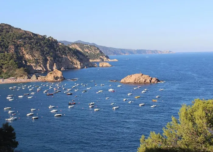 10 People, 150 M From The Sea, Pool And Garden Castell-Platja d'Aro