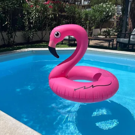 10 People, 150 M From The Sea, Pool And Garden *