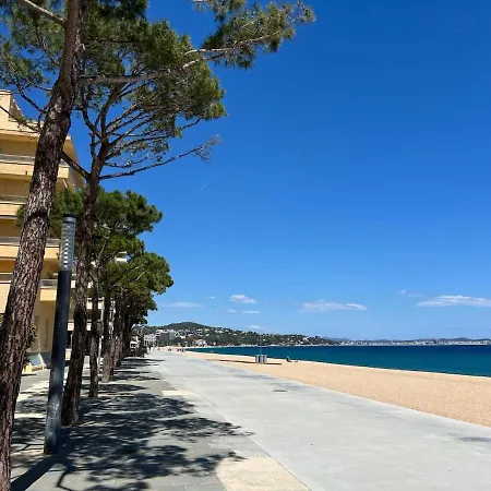 10 People, 150 M From The Sea, Pool And Garden * プラヤ・デアロ