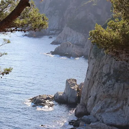 10 People, 150 M From The Sea, Pool And Garden Vila *