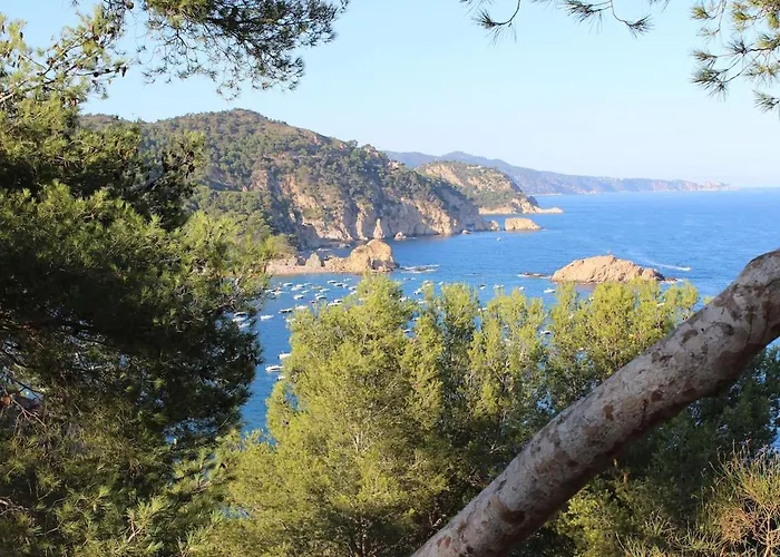 10 People, 150 M From The Sea, Pool And Garden Villa *